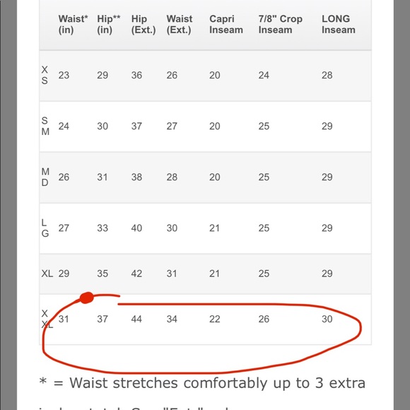 Champagne Leggings - Picture 4 of 4